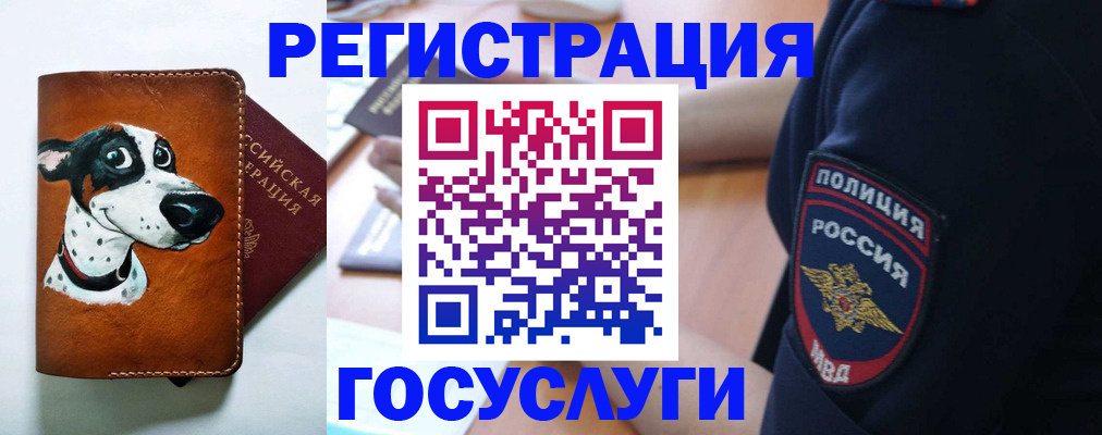 временная регистрация в квартире в Ульяновской области